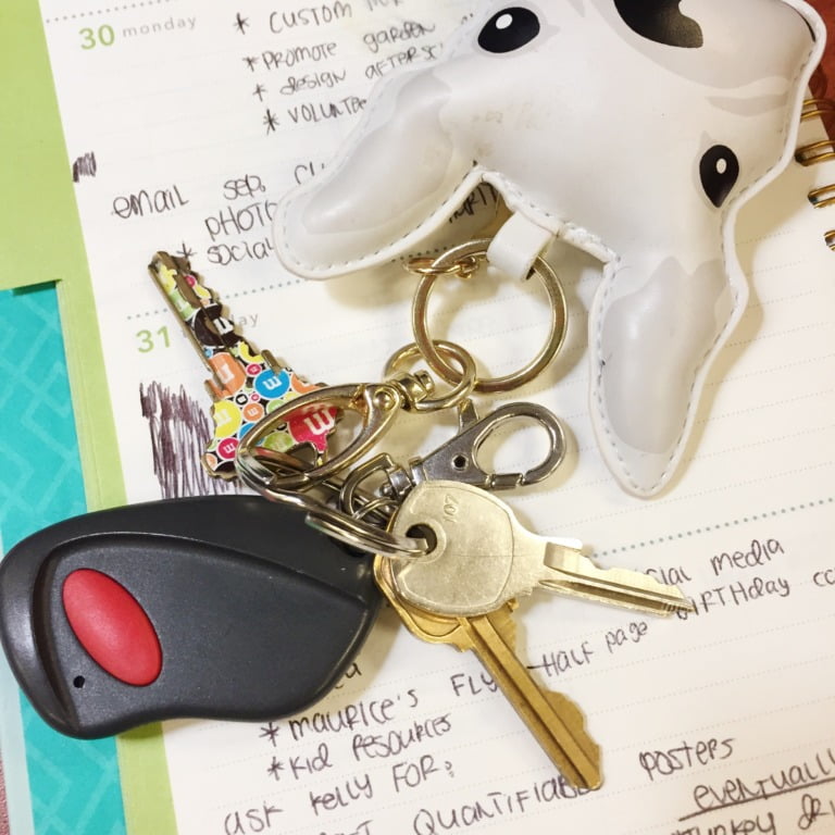 My hate relationship with lupus cerebritis and the DMV