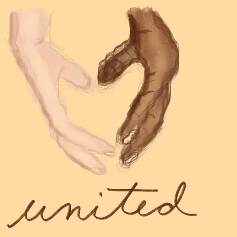 10 ways to be an ally to the black community