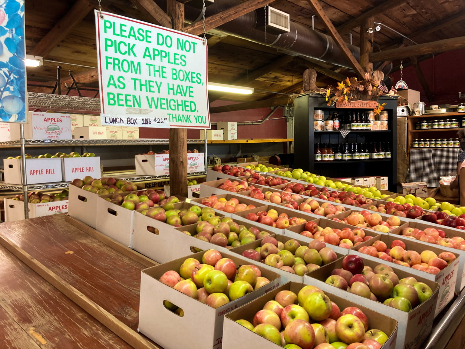 Your Guide to Apple Hill's High Hill Ranch Hannah on Horizon