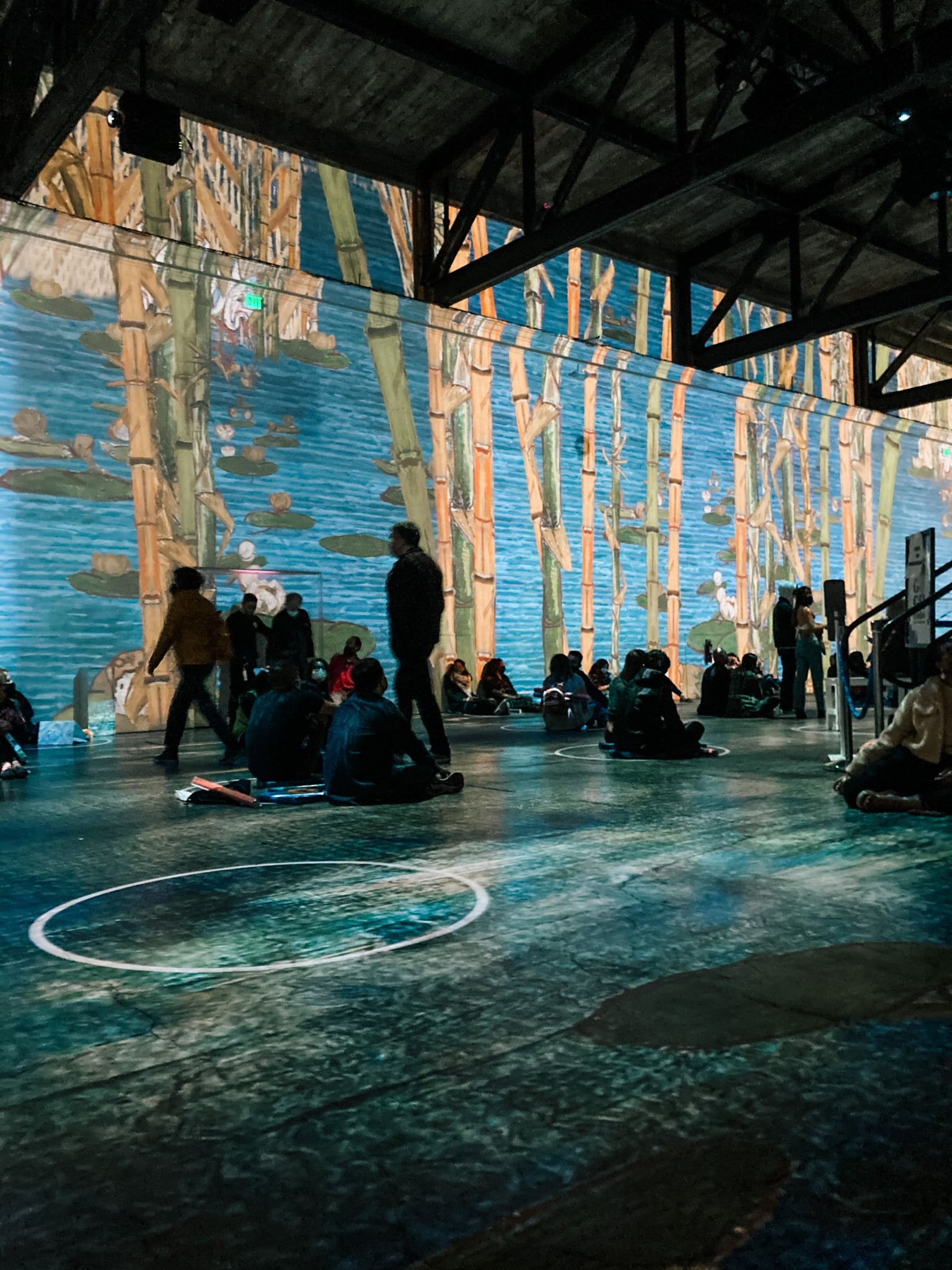 Experiencing SF's Van Gogh Immersive Exhibit Hannah on Horizon