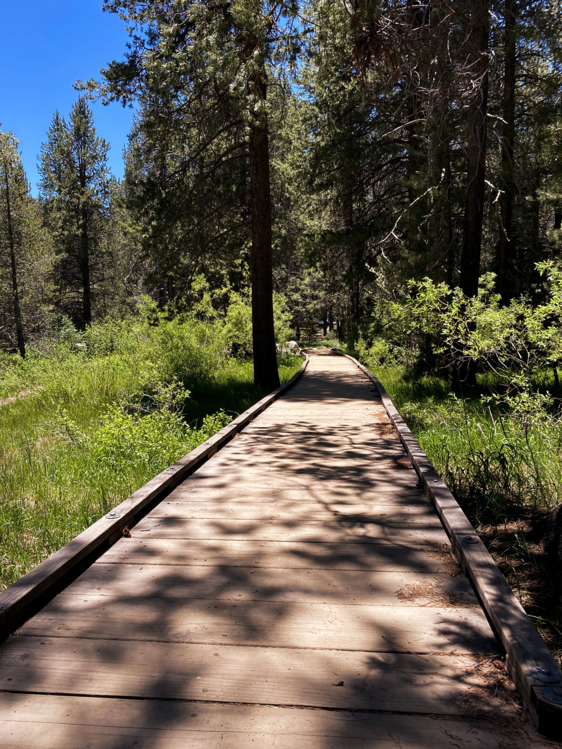 The Perfect Reno Summer Bucketlist