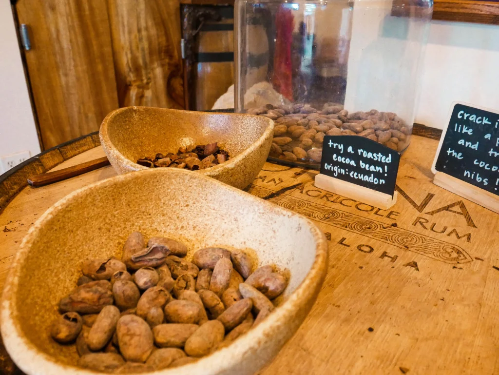 Roasted cocoa beans at Manoa Chocolate in Hawaii