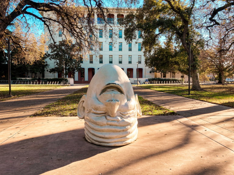 What to do and eat in Davis, CA | The college town everyone can enjoy