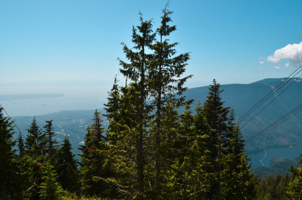 The view of Vancouver from Georgia Strait Lookout in Grouse Mountain