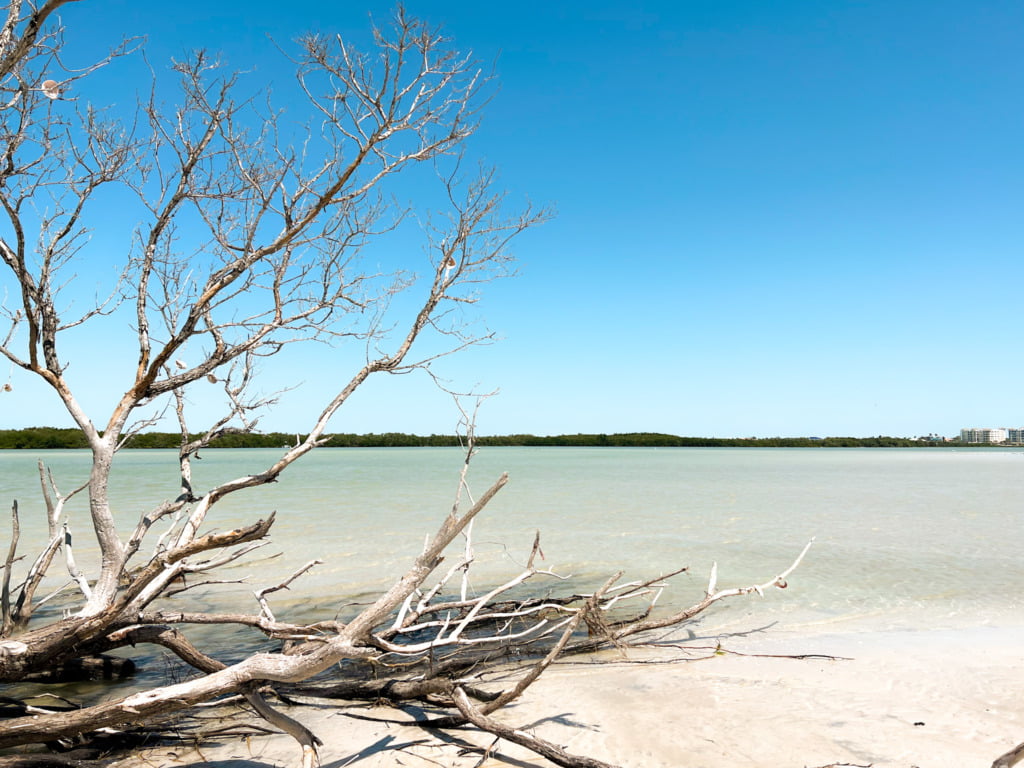 Shell Key Preserve in St. Pete Beach