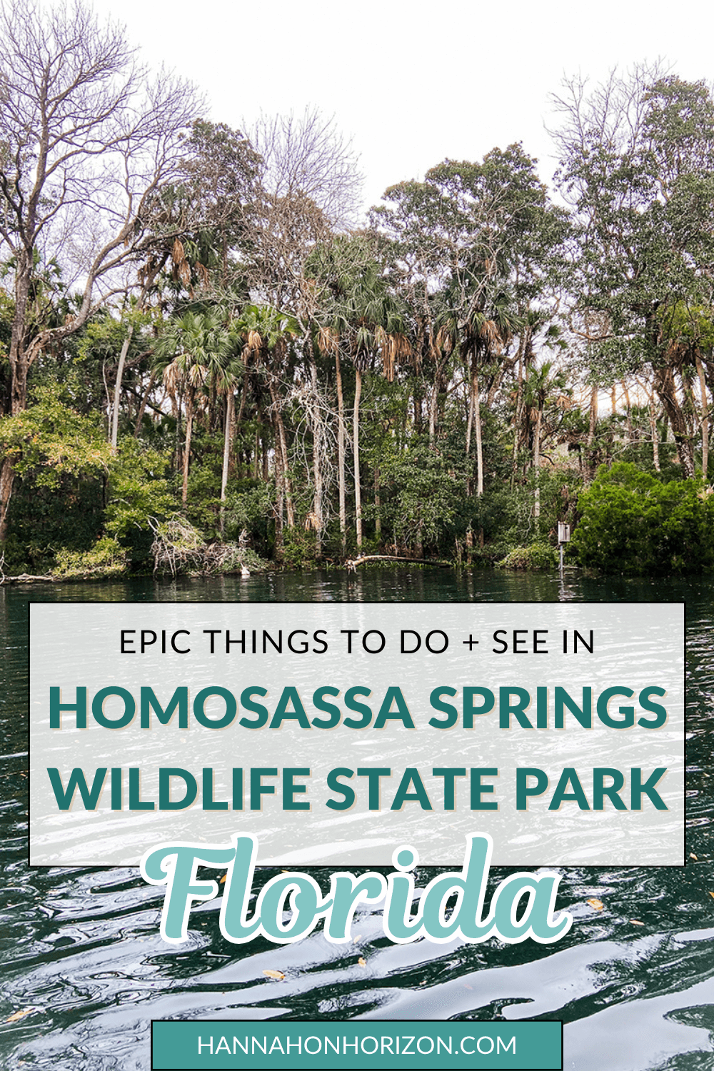 Guide to Florida's Homosassa Springs Wildlife State Park (Including ...